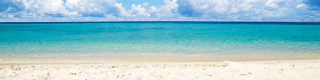 Privacy policy banner with a background of a beach and open sky